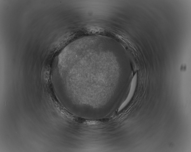 X0000088850417200706291500