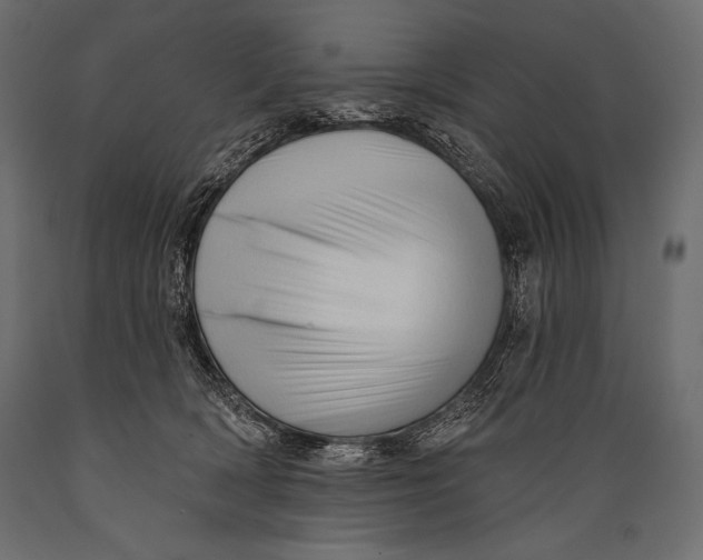 X0000088850418200706291500