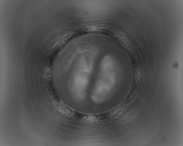 X0000088850419200706291500