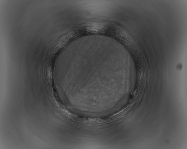 X0000088850420200706291500