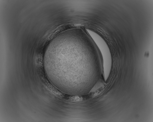 X0000088850421200706291500