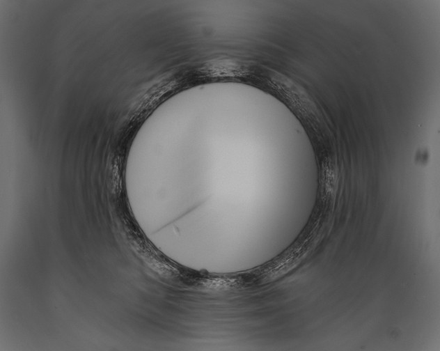 X0000088850422200706291459