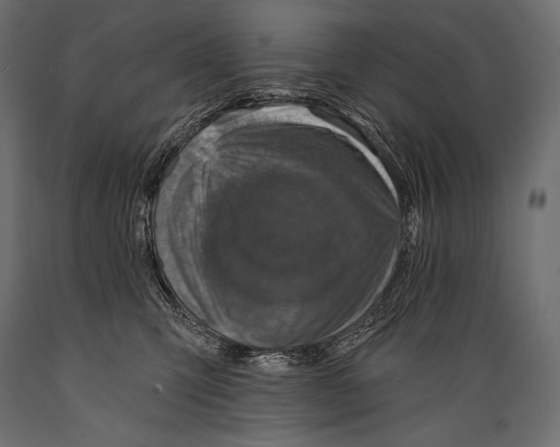 X0000088850423200706291459