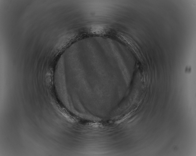 X0000088850424200706291459