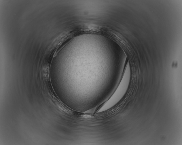 X0000088850425200706291459