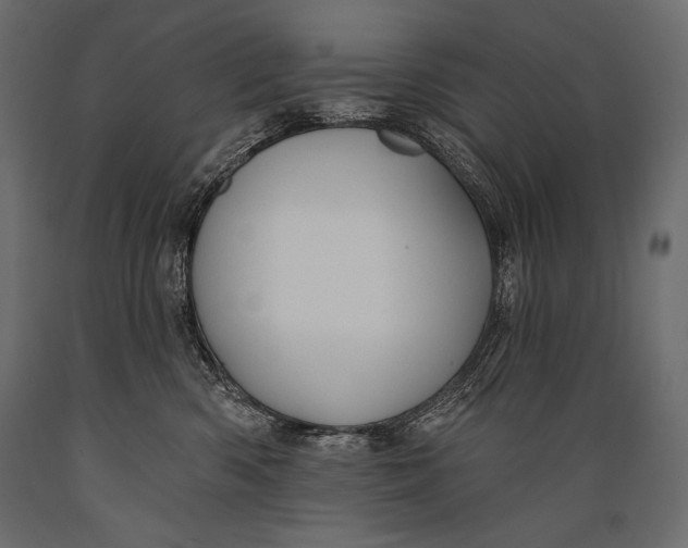 X0000088850426200706291459