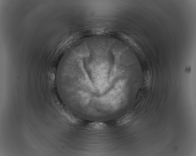 X0000088850427200706291459