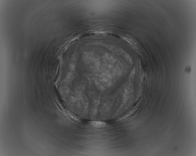 X0000088850429200706291459