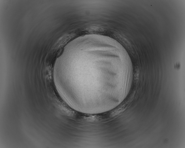 X0000088850430200706291459