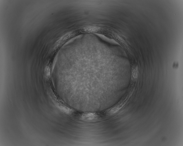 X0000088850431200706291459