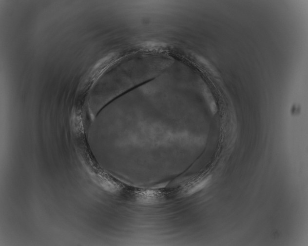 X0000088850432200706291459