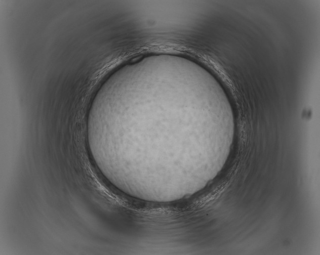 X0000088850433200706291459