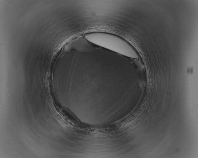 X0000088850434200706291459