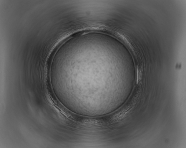 X0000088850435200706291459