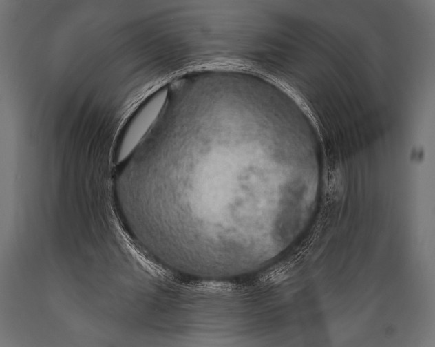 X0000088850437200706291459