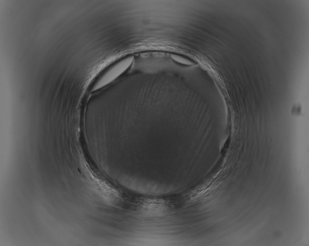 X0000088850438200706291459