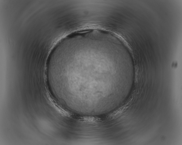 X0000088850439200706291459