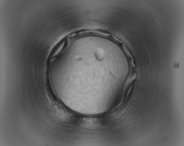 X0000088850440200706291459