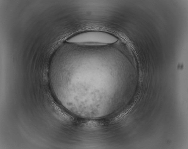 X0000088850441200706291459