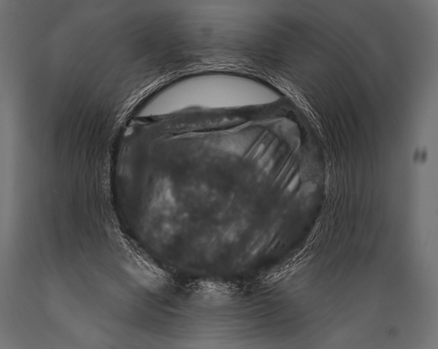 X0000088850442200706291459