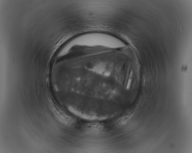 X0000088850443200706291459