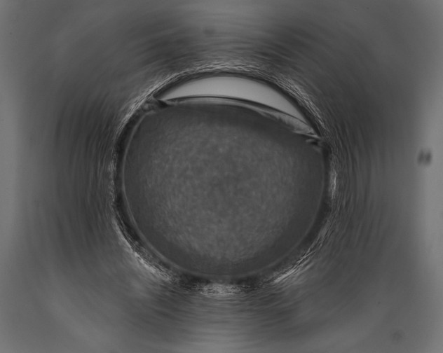 X0000088850444200706291459