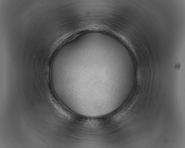 X0000088850445200706291459