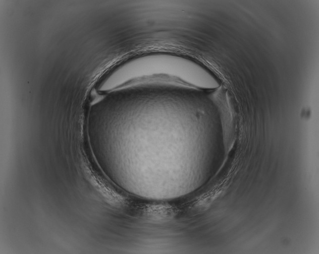 X0000088850446200706291459