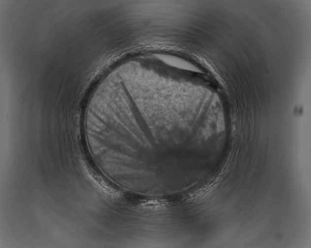 X0000088850447200706291459