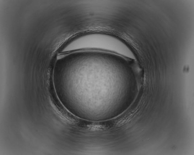 X0000088850448200706291459