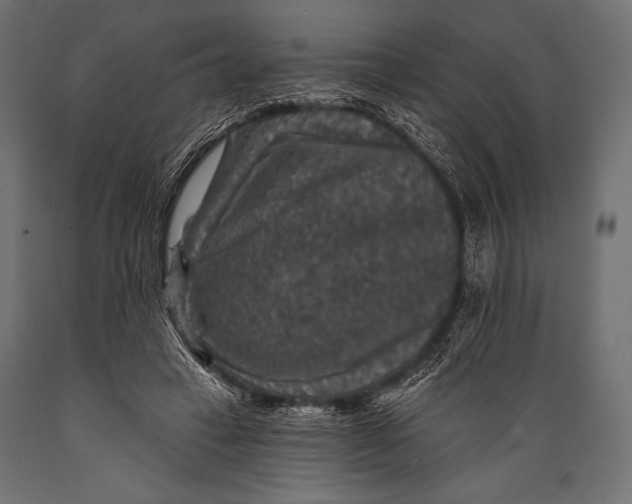 X0000088850449200706291459