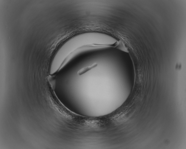 X0000088850450200706291459