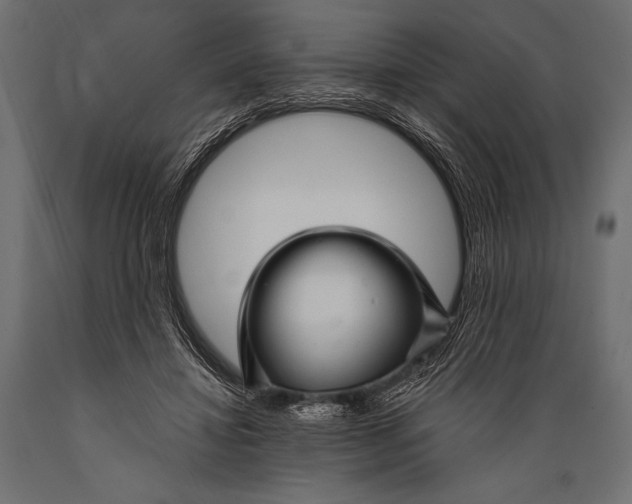 X0000088850452200706291459