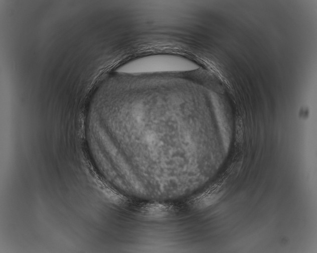 X0000088850453200706291459