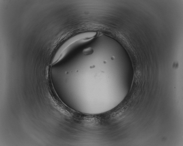 X0000088850454200706291459