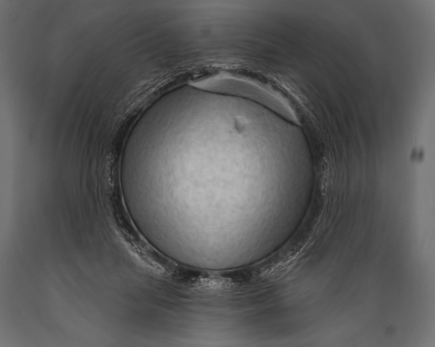 X0000088850455200706291459