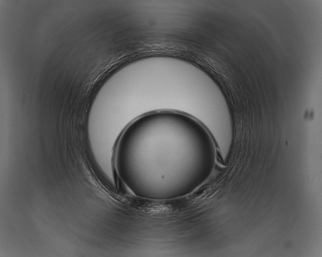 X0000088850456200706291459