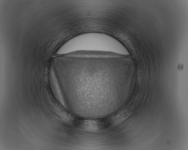 X0000088850457200706291459