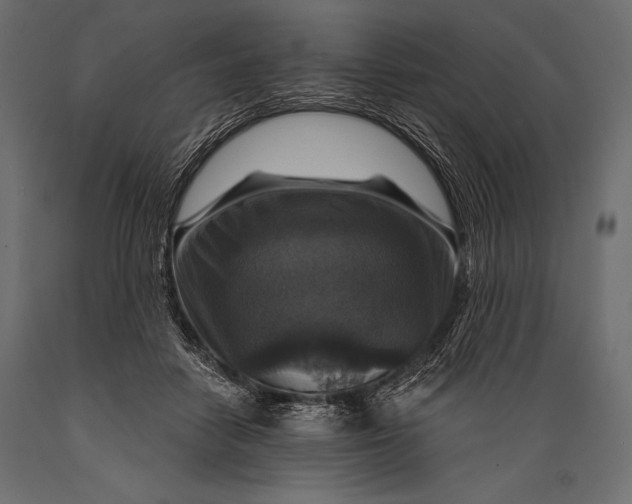 X0000088850458200706291459