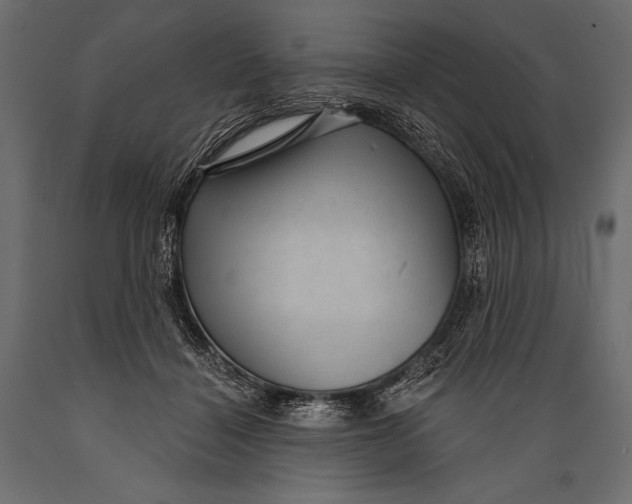 X0000088850460200706291459