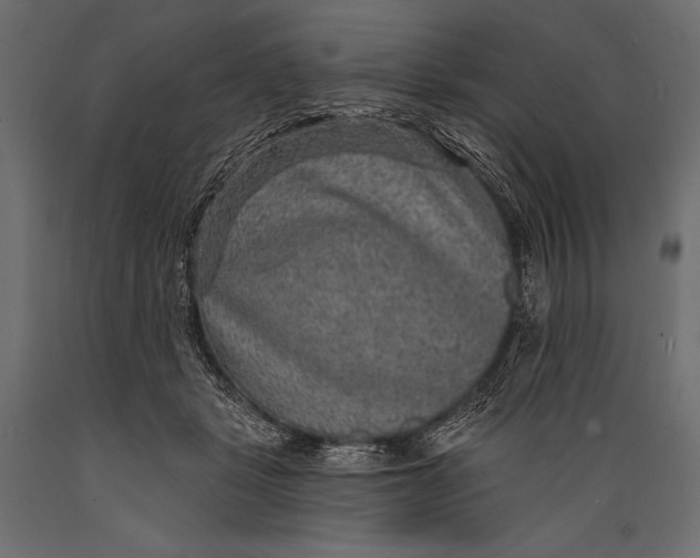 X0000088850461200706291459