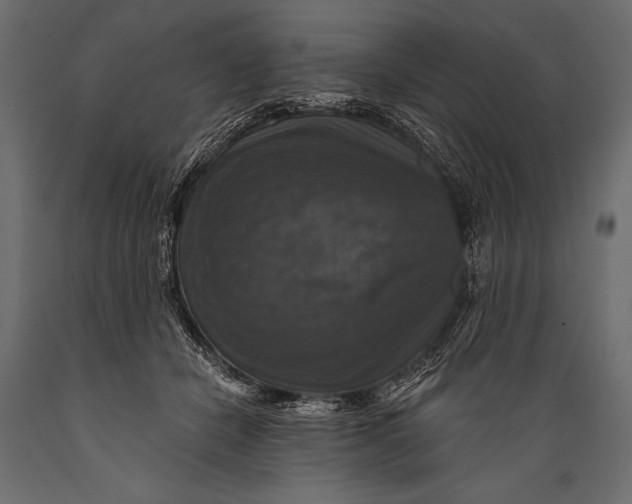 X0000088850462200706291459