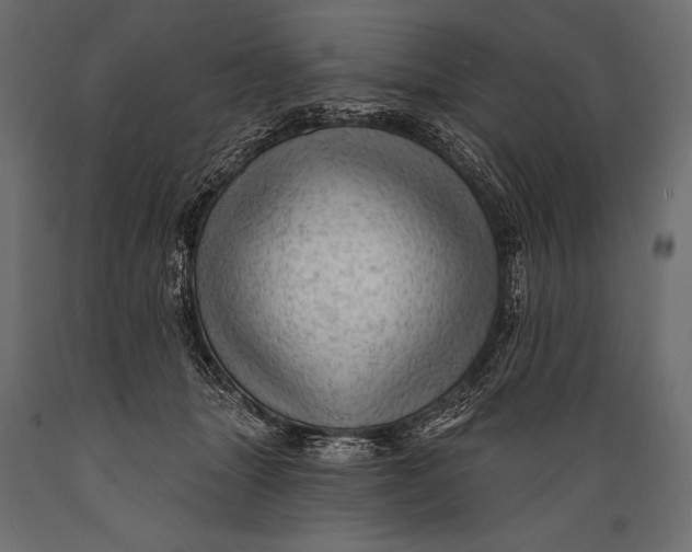 X0000088850463200706291459