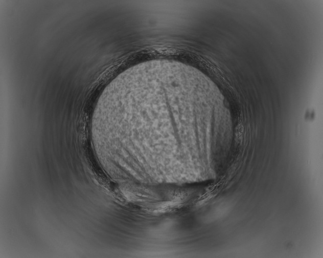 X0000088850464200706291459