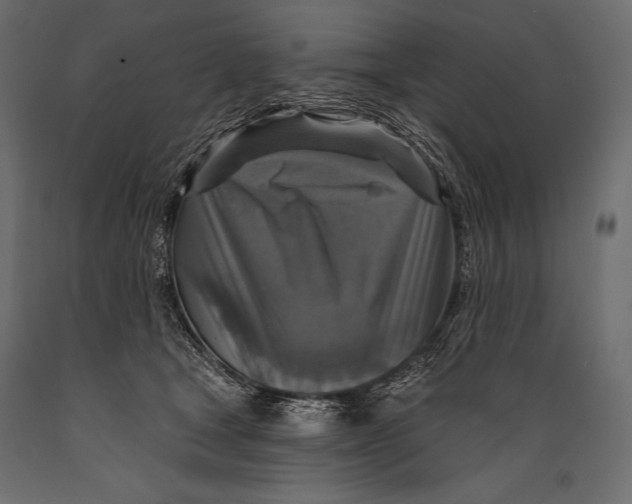 X0000088850465200706291459