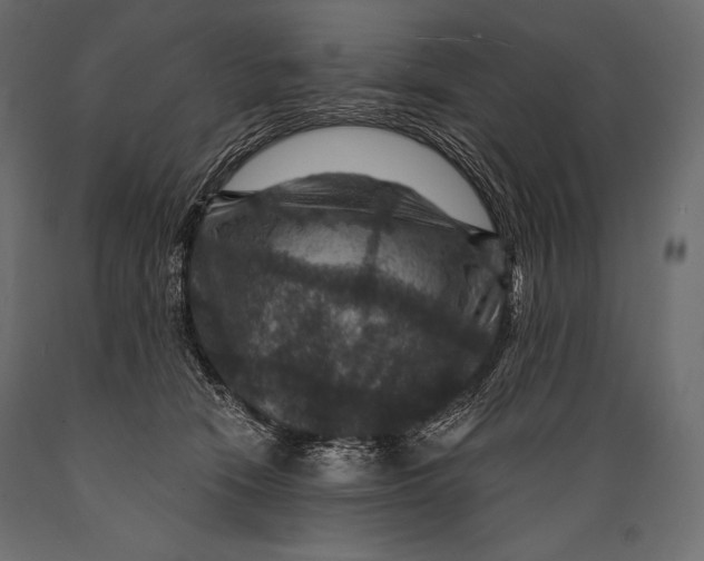 X0000088850466200706291459