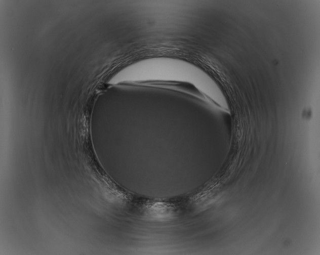 X0000088850467200706291459