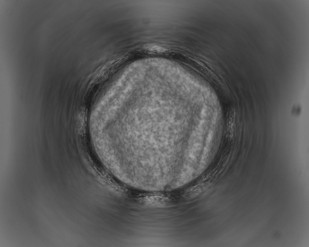 X0000088850468200706291459