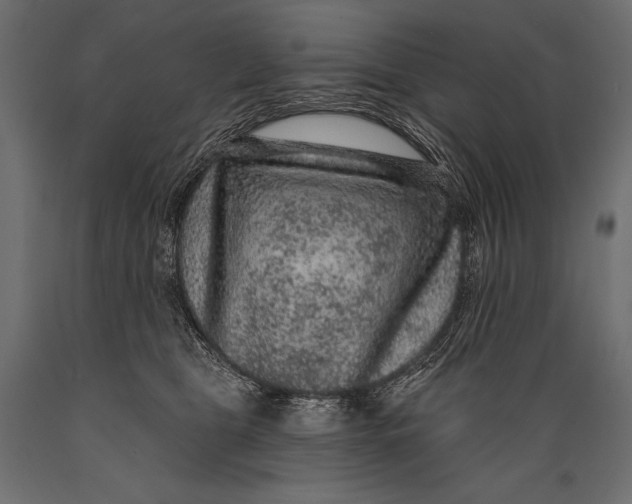 X0000088850469200706291459