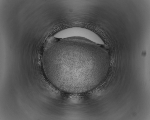 X0000088850470200706291459